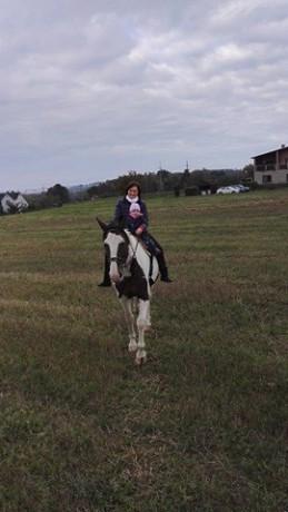 14657770 521657411363809 1477730111 n